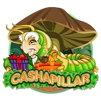 Cashapillar